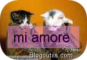 mi amore 